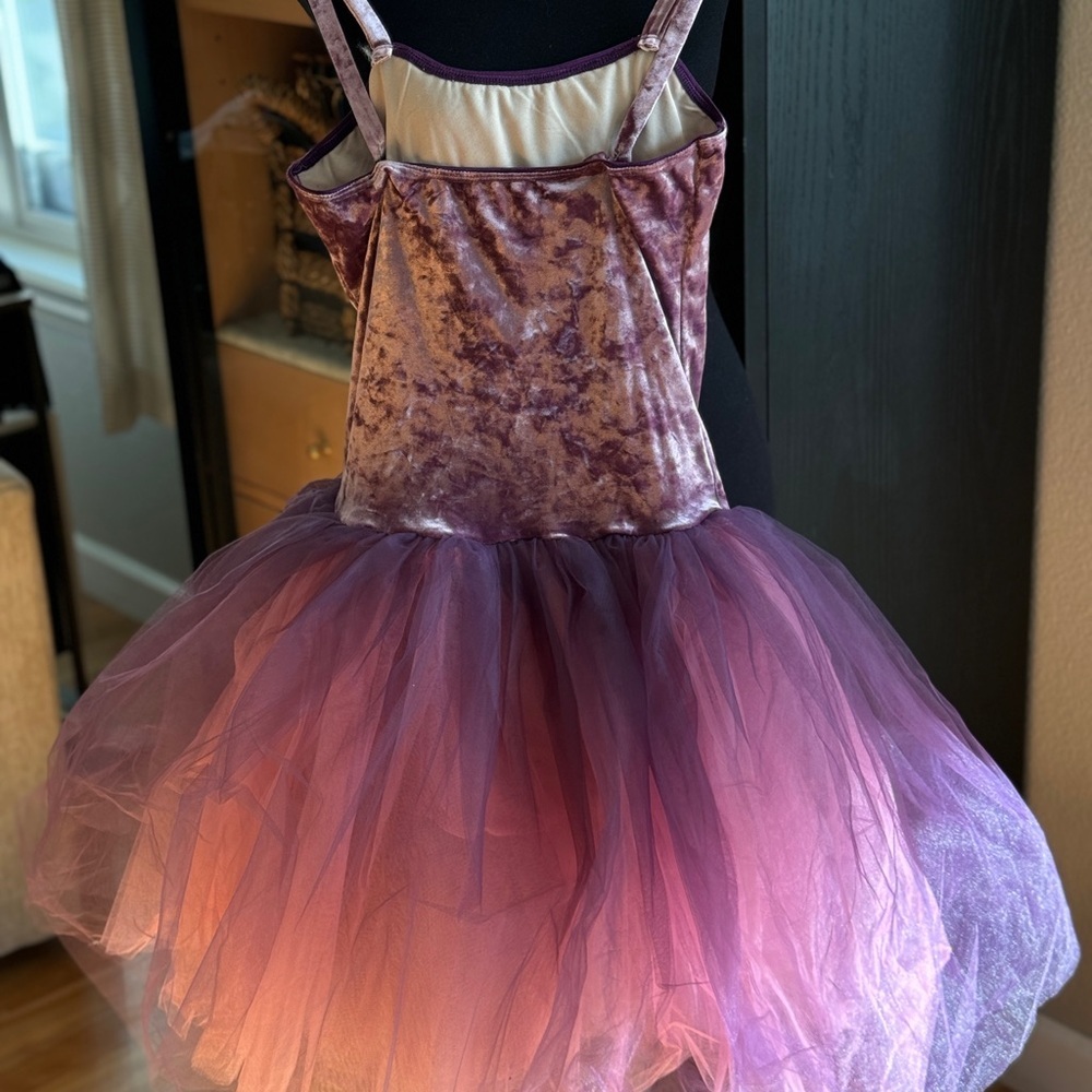 🏰 Pink and Purple Ballet Pointe Dance Costume Adult Medium or 🎀 Princess Dress - Picture 6 of 9